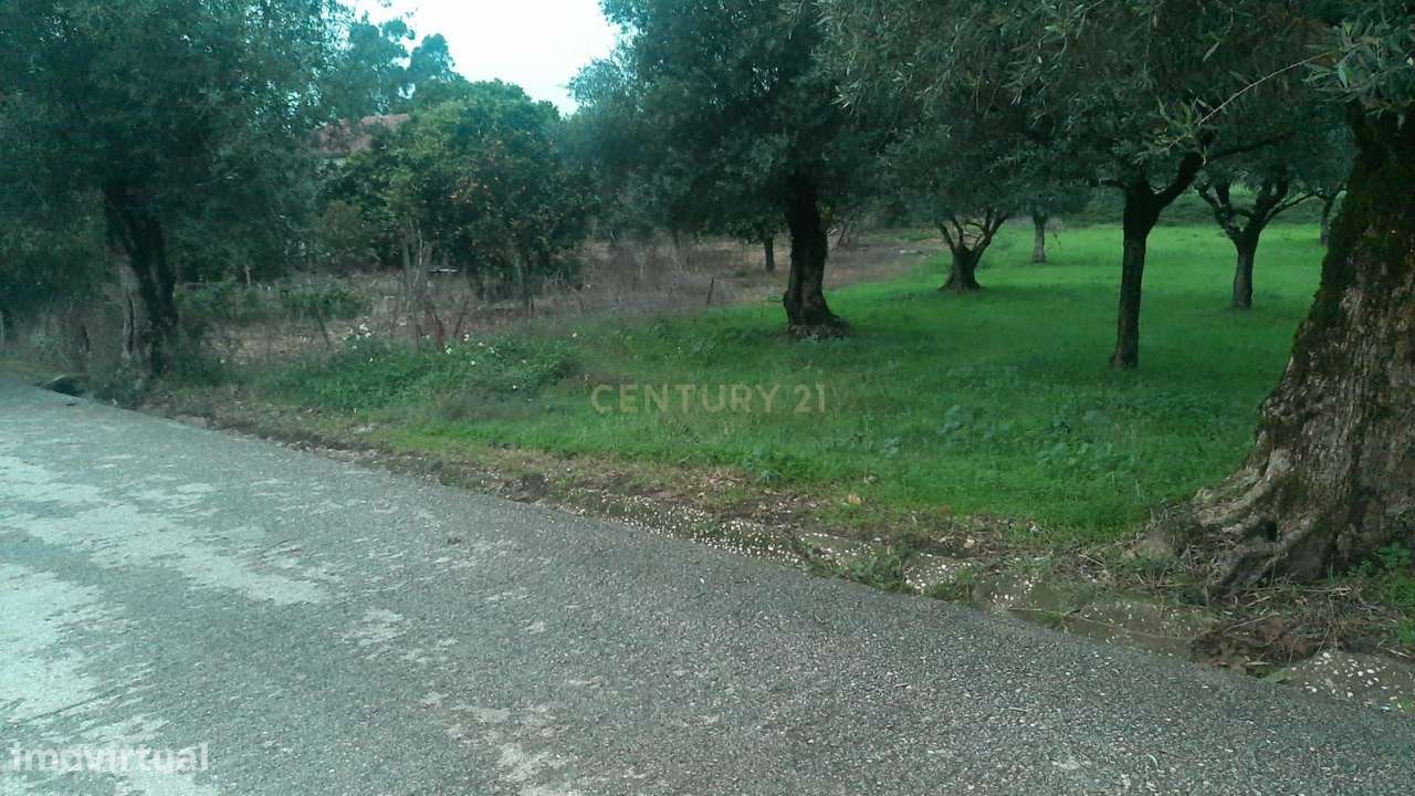 Terreno para construção de Moradia Uni/Bifamiliar isolada - Grande imagem: 5/7
