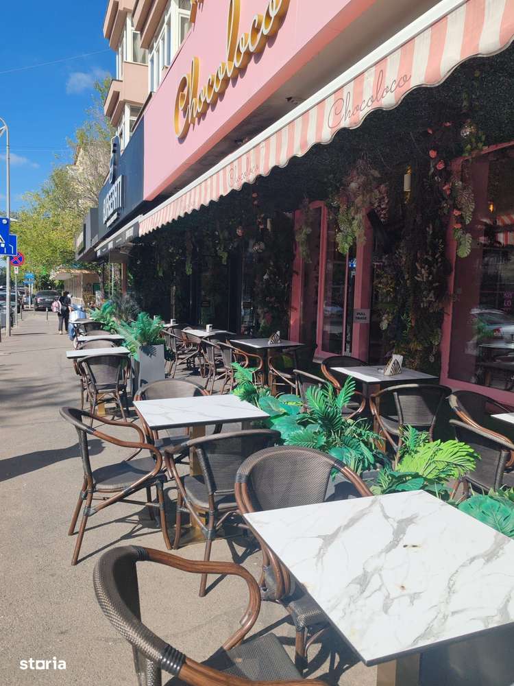 Vanzare Spatiu comercial Floreasca inchiriat-5