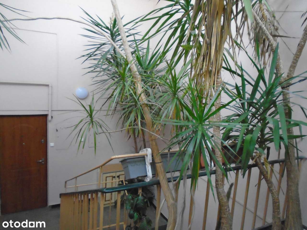 Trzypokojowe mieszkanie z klimatyzacją centrum ul .Brzóski 0% prowizji - Pełny obrazek: 4/16