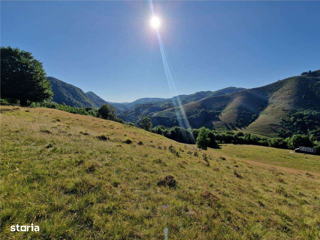 RECO teren extravilan Remeti - Imagine principală: 3/9