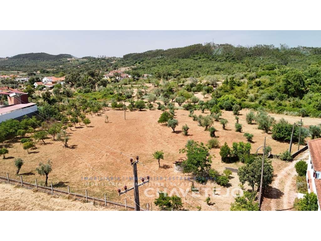 Quintinha T4 com Amplas zona para Oficinas, Terreno Plano e Enorme ...-48