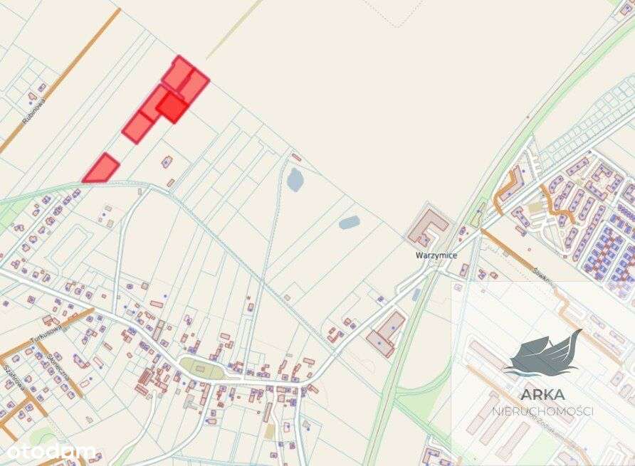 Działki 3000 m2 / Warzymice - Pełny obrazek: 5/6