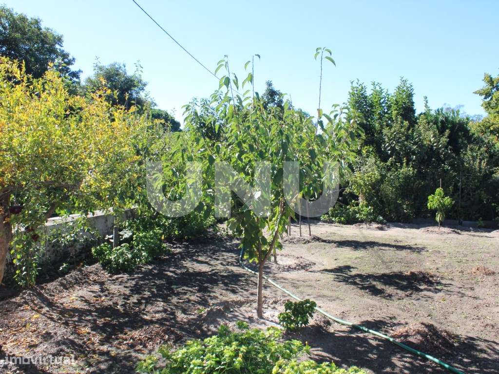 Quinta do Pomar - Reguengo e São Julião - Um refúgio entre o campo ...-11