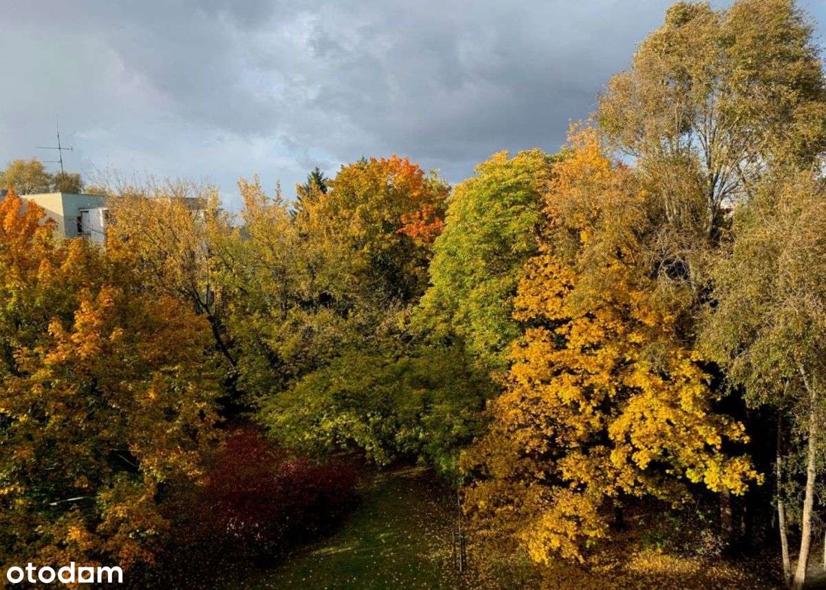 | 2 Pokoje | Odrębna Kuchnia |  Po Remoncie |-11