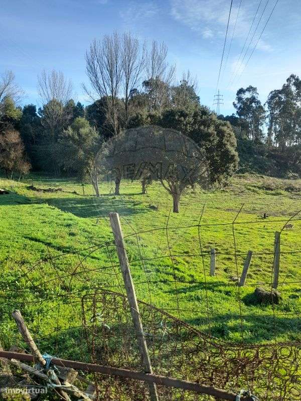 Terreno  para venda - Grande imagem: 5/10