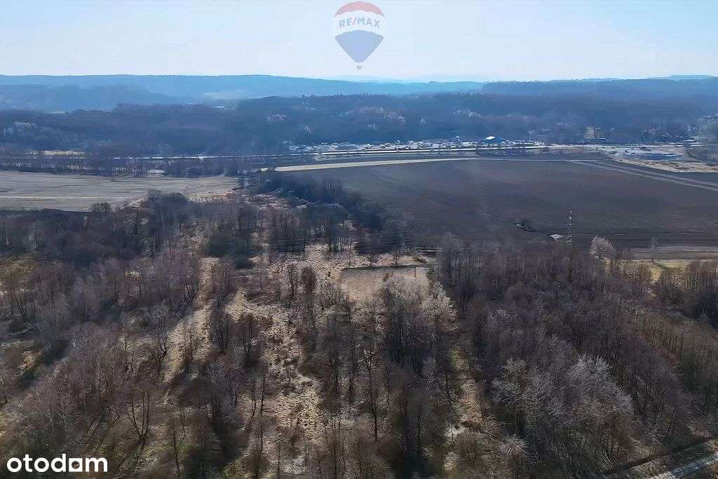 Działka inwestycyjna ponad 2 hektary Krzeczów - Pełny obrazek: 4/5