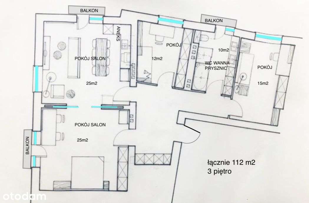 Jeżyce I 3 balkony I oryginalny parkiet-19