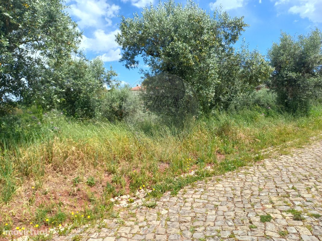 Terreno  para venda