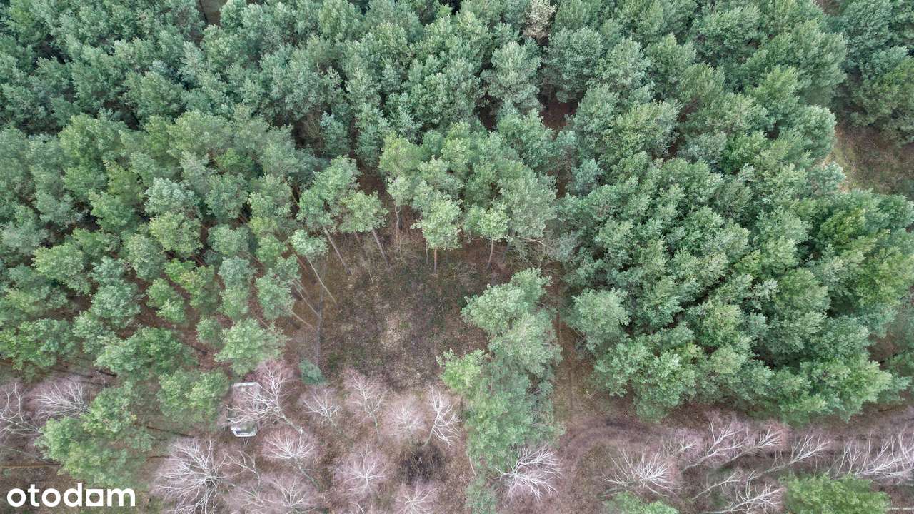 Urokliwa działka z wz na dom całoroczny, Zalew Cieszanowiski-bez %-6