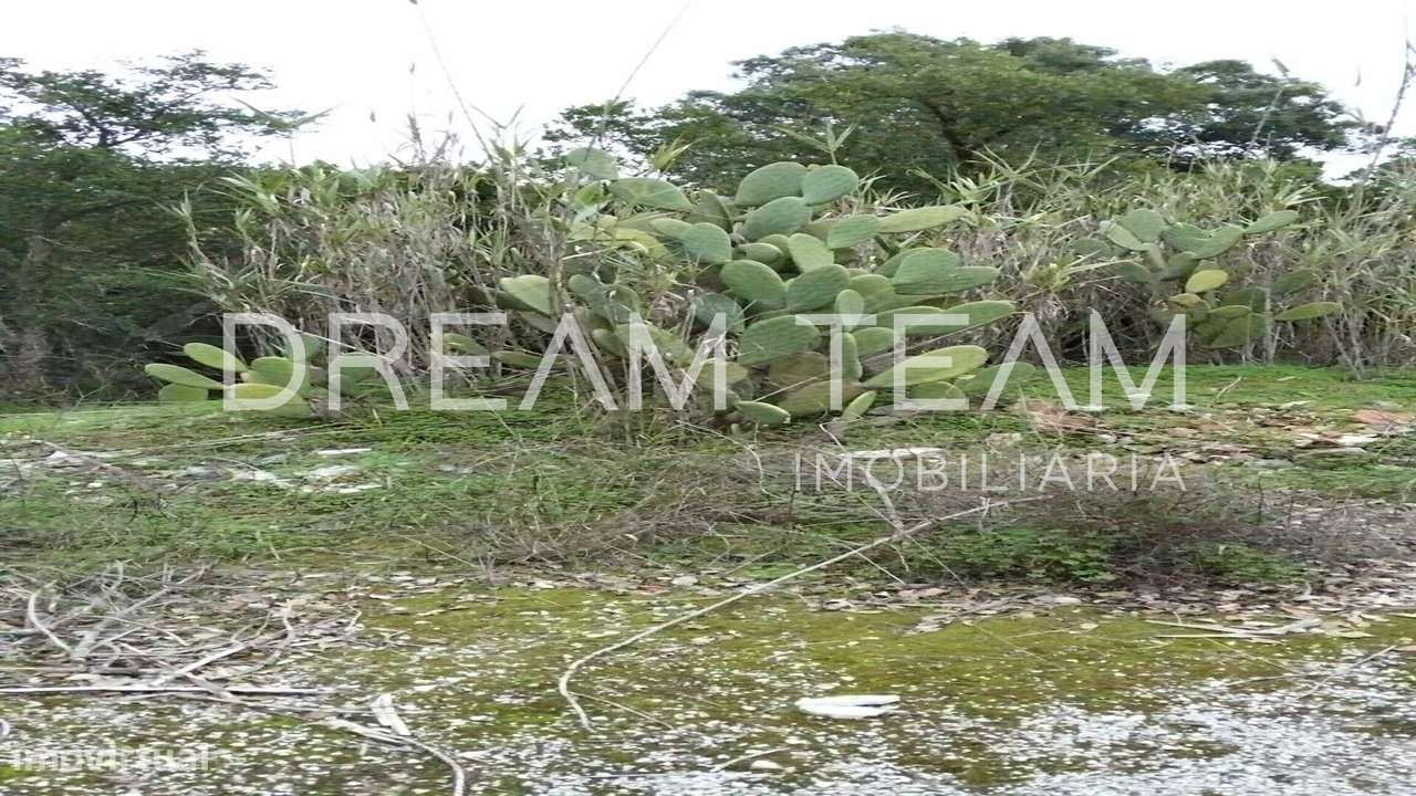 Terreno Urbano para Construção – Palhais-Coina | Viabilidade para 27 F-10