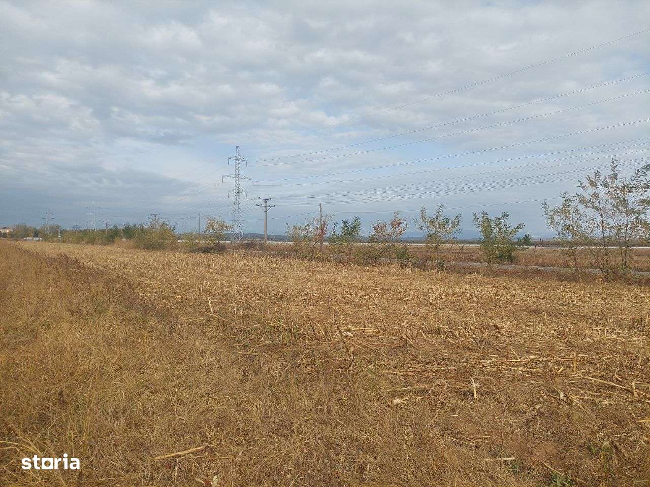 Teren dezvoltare rezidentiala / industriala - Dumbrava - comision 0%!-2