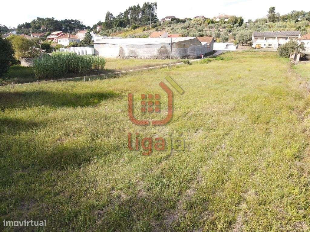 Terreno Com Viabilidade de Construção! - Grande imagem: 5/13