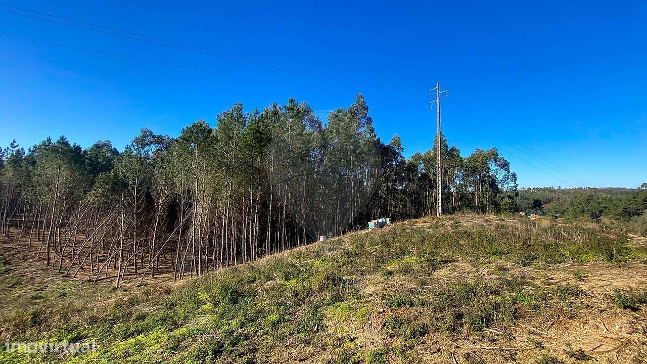 Terreno  para venda - Grande imagem: 4/14