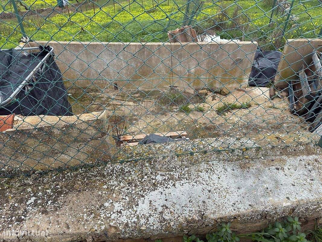 Terreno  para venda - Grande imagem: 4/6