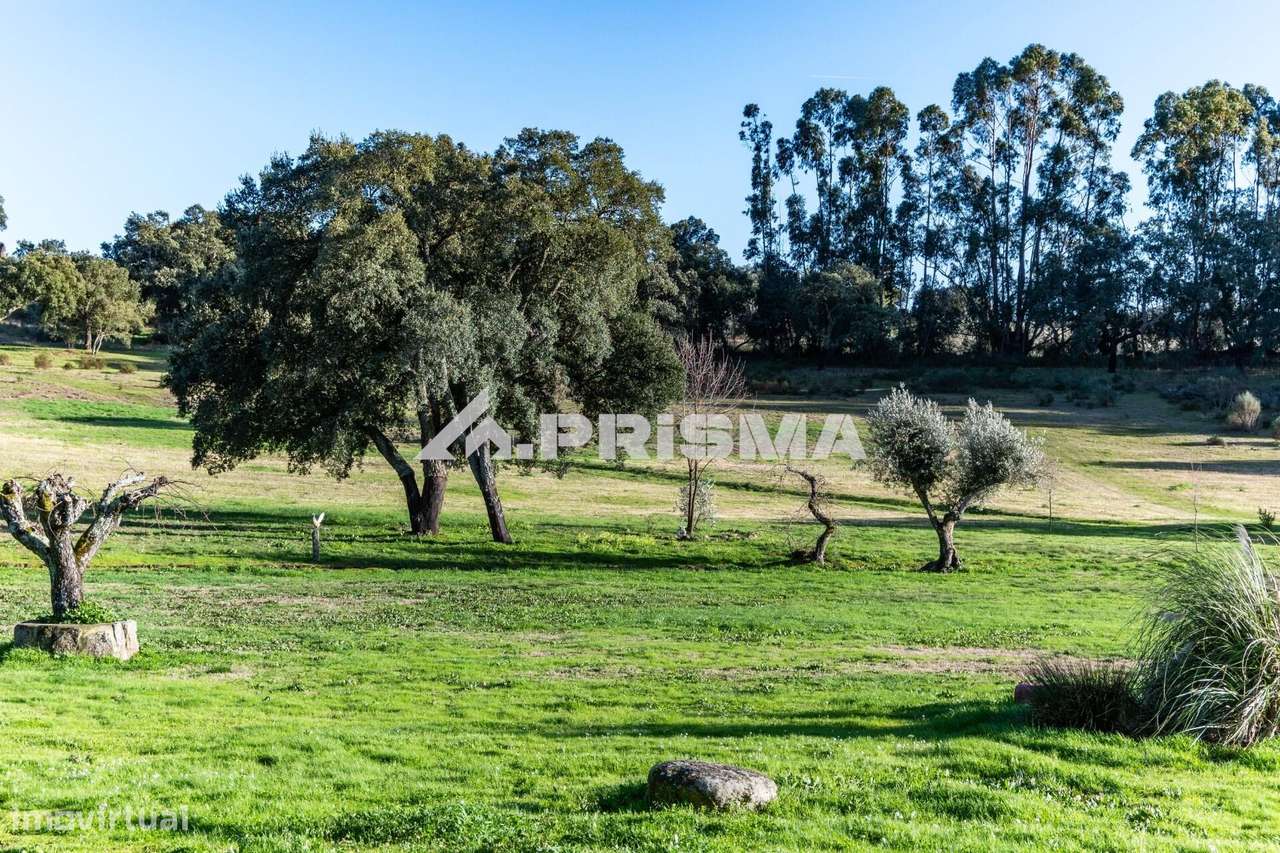 Quinta para venda em Escalos de Cima-42