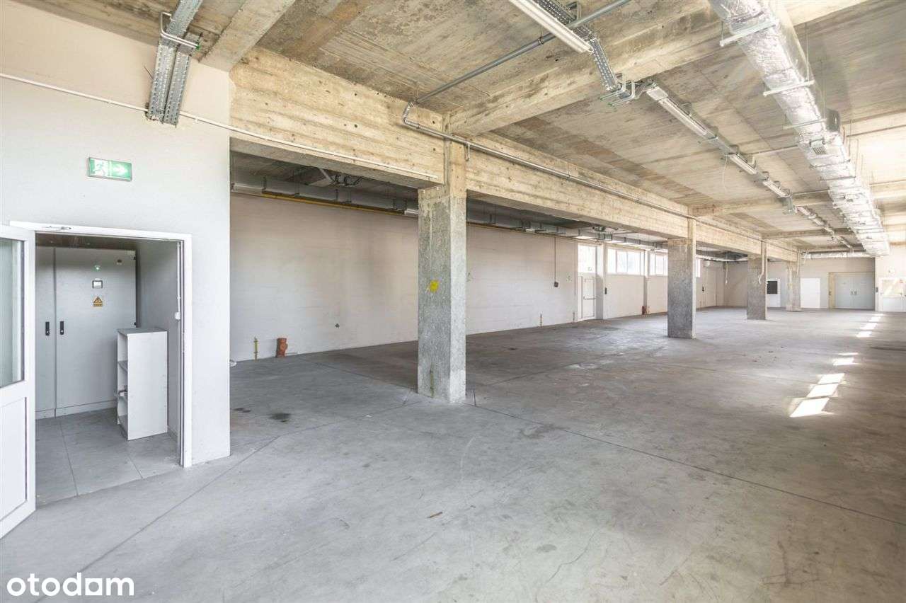 Hala produkcyjno magazynowa z biurowcem - Pełny obrazek: 4/14