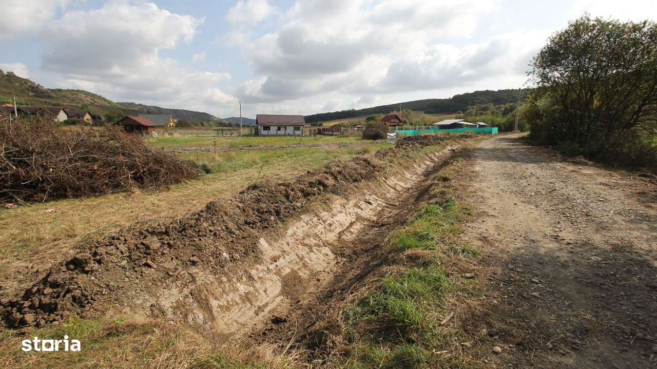 Teren 780 mp, Livezeni cu PUG aprobat recent,59 euro mp - Imagine principală: 4/20