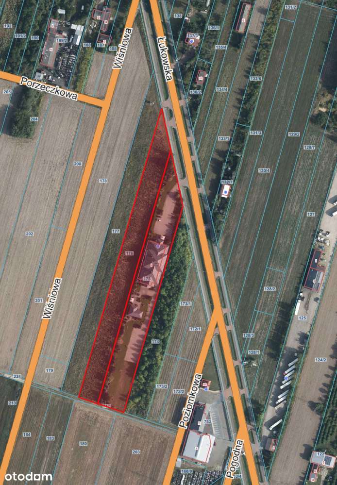 Lokal usługowo - handlowy z gruntem 14 000 metrów kw. - Pełny obrazek: 4/4