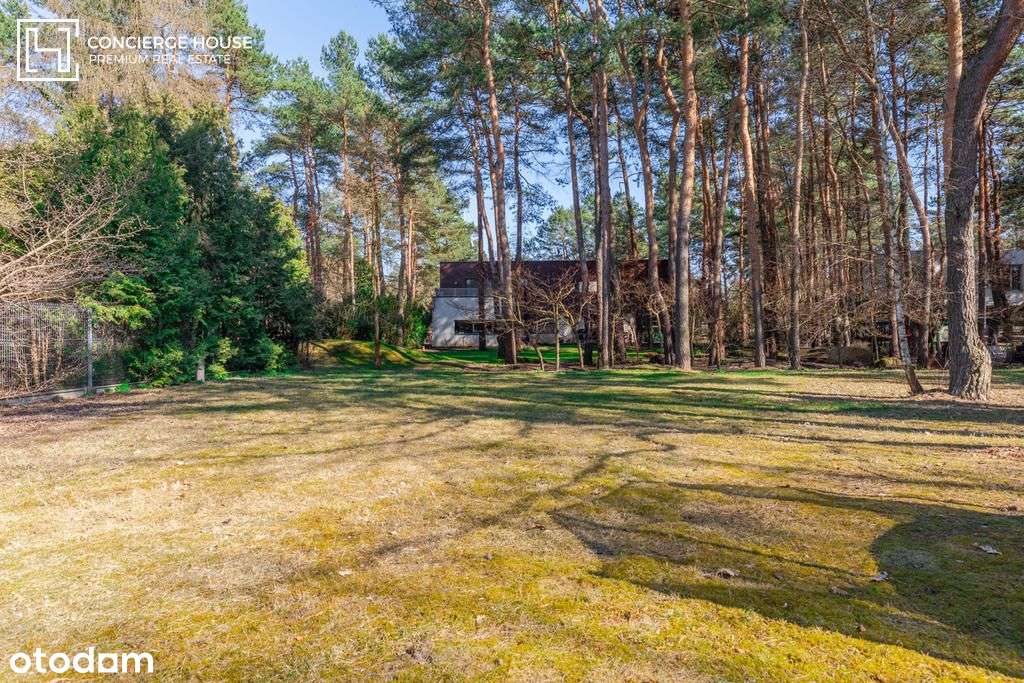 Dom w Radości | Magiczna działka ze starodrzewiem-3