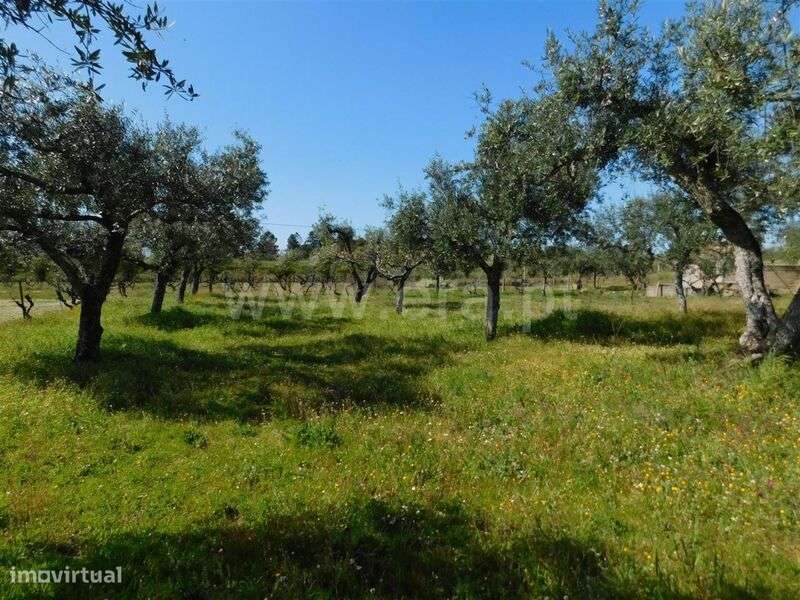 Quintinha / Fundão, Orca - Grande imagem: 4/19