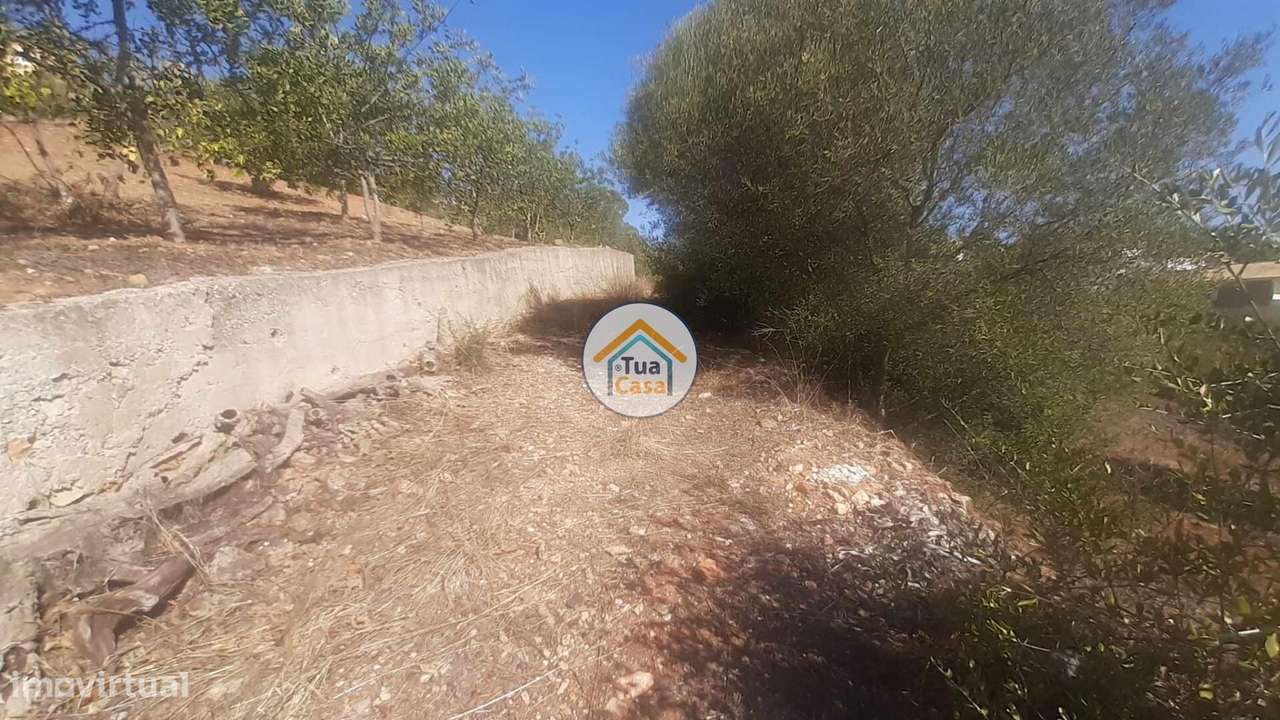 Terreno Rústico com Viabilidade de Construção em São Brás de Alportel - Grande imagem: 5/18