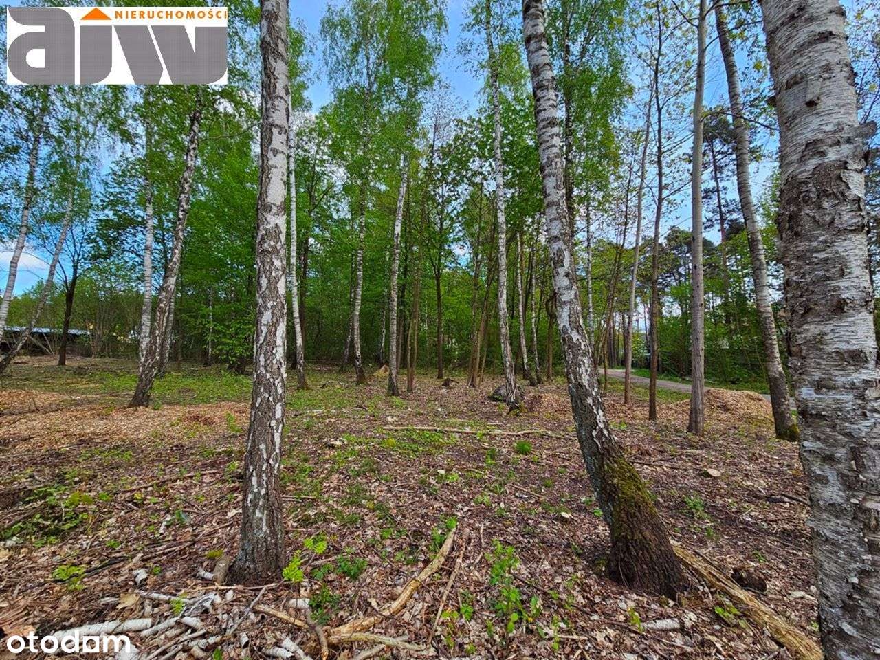 Działka Izabelin B 2225 m2 sprzedaż z fakturą - Pełny obrazek: 2/3