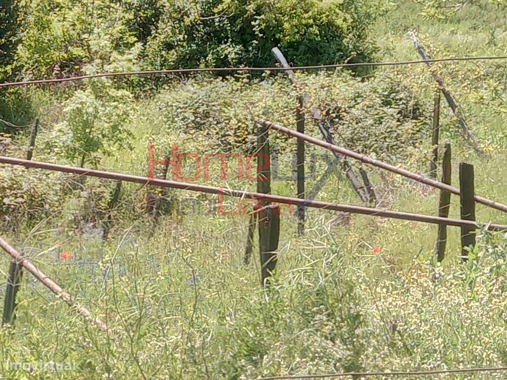 Terreno para Venda - Grande imagem: 3/8