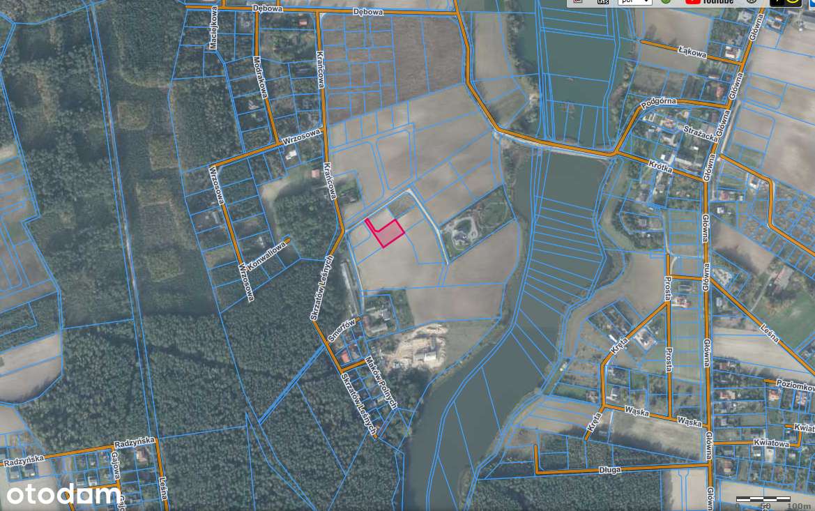 Atrakcyjna działka Radzyny/gm. Kaźmierz, Szamotuły, 32km od Poznania - Pełny obrazek: 4/5