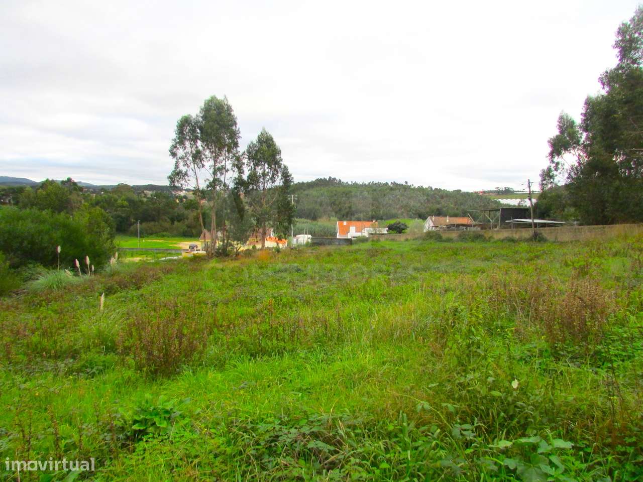 Terreno Urbanizável - 1,7ha - Torres Vedras - Ramalhal - Grande imagem: 5/7
