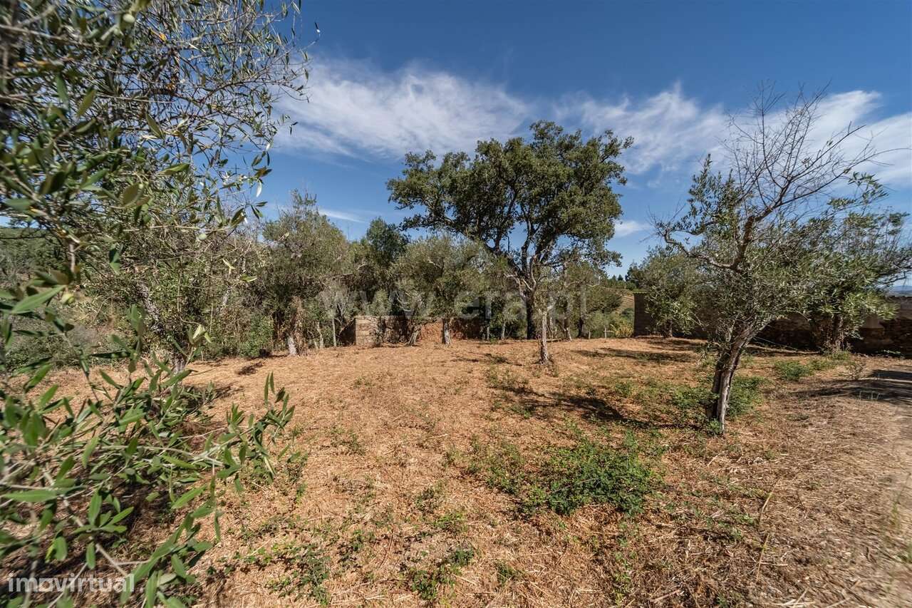 Lote / Covilhã, Dominguiso - Grande imagem: 3/10