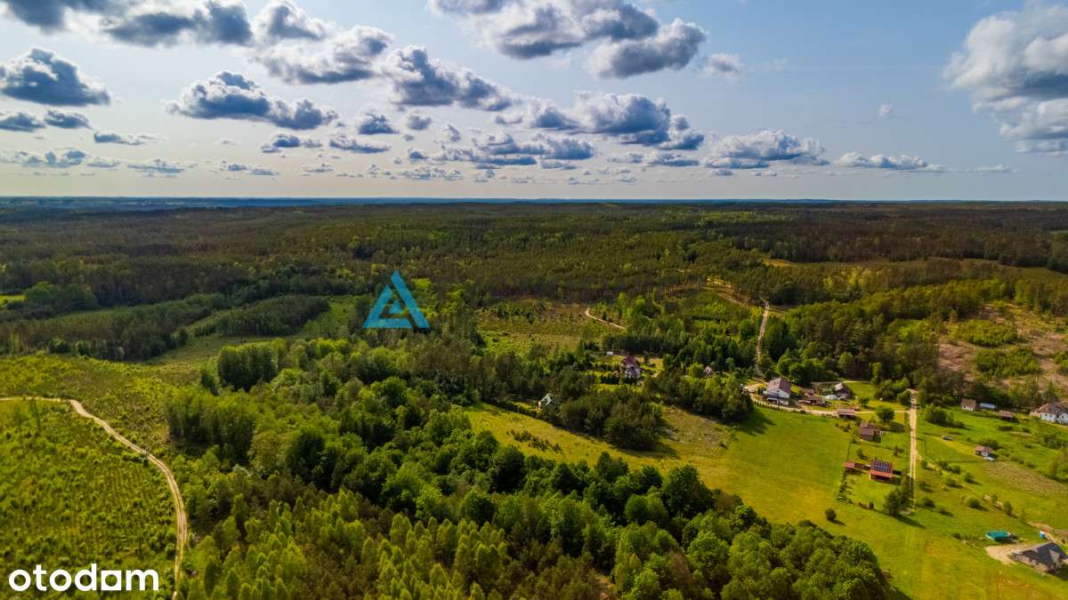 Działka w sercu lasów i jezior - Sulęczyno - Pełny obrazek: 4/16