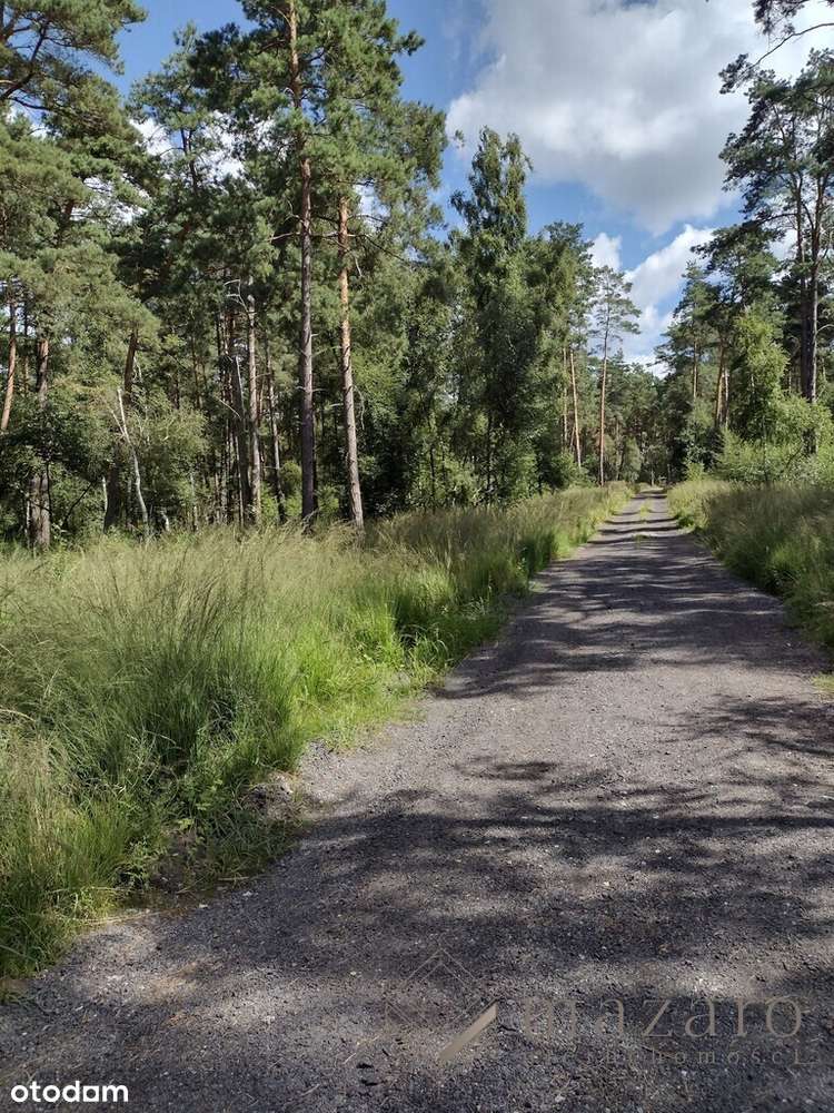 Działka na Domki pod Wynajem 900 m od Morza - Pełny obrazek: 5/18