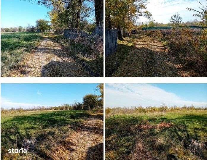 Teren Ungheni, ID: R2832820-1