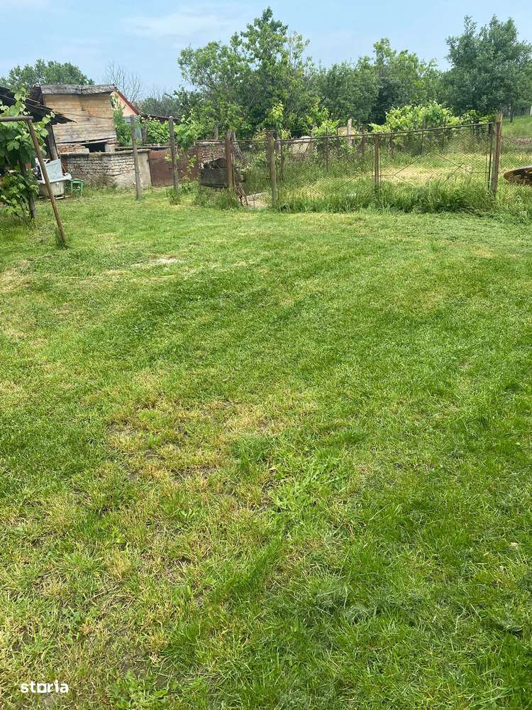 Casa deosebita la 15 min de Arad-16