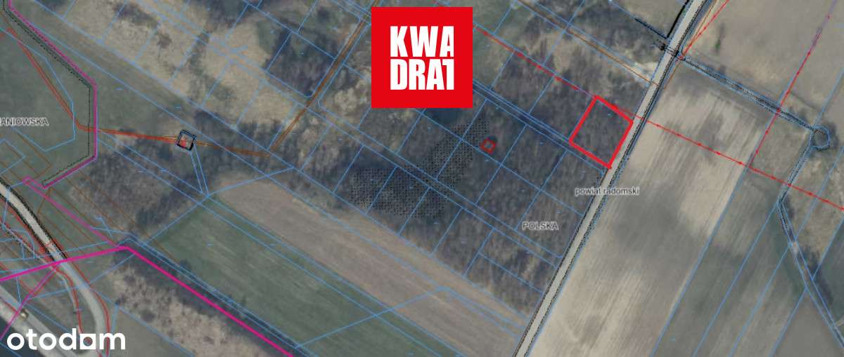 Działka zadrzewiona na użytkach rolnych | Młódnice-0