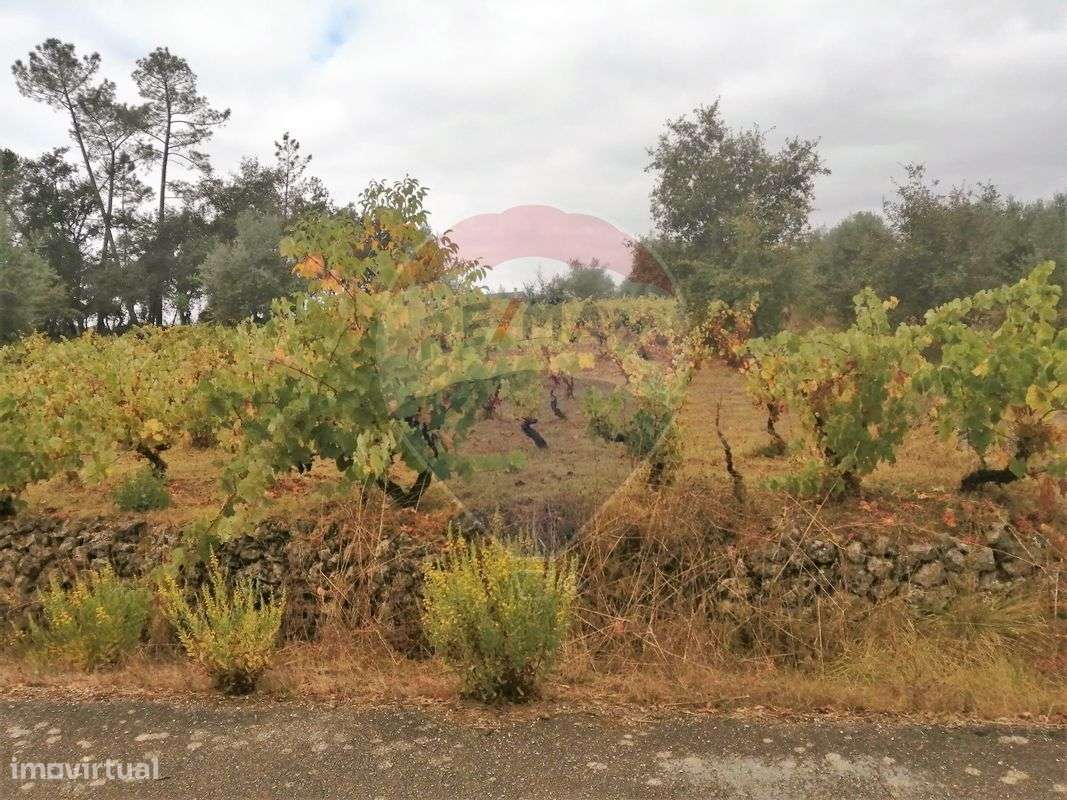 Terreno  para venda - Grande imagem: 4/6