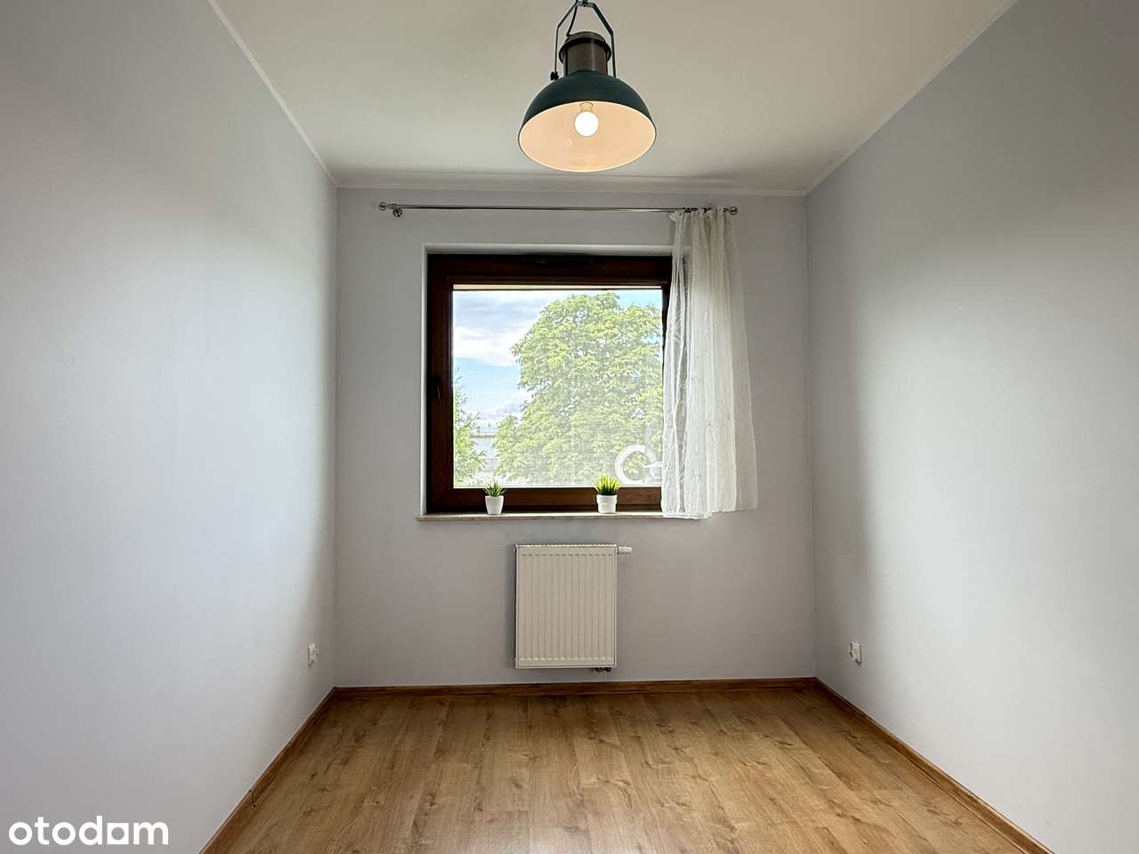 Duży Taras, Maślice przy lesie i zieleni-11