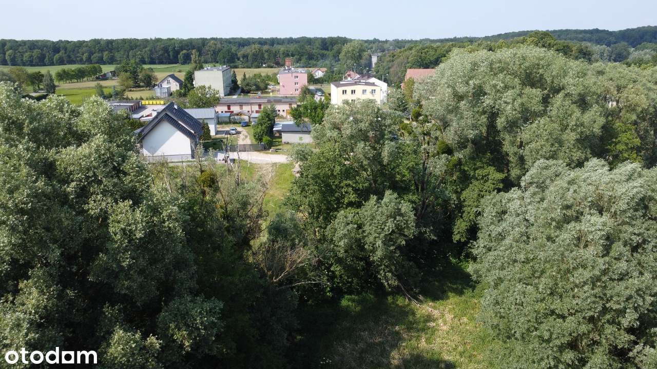 WZ bud. wielorodzin. / 3 domy jednorodzin. Możliwy płaski dach, 4 kond-7