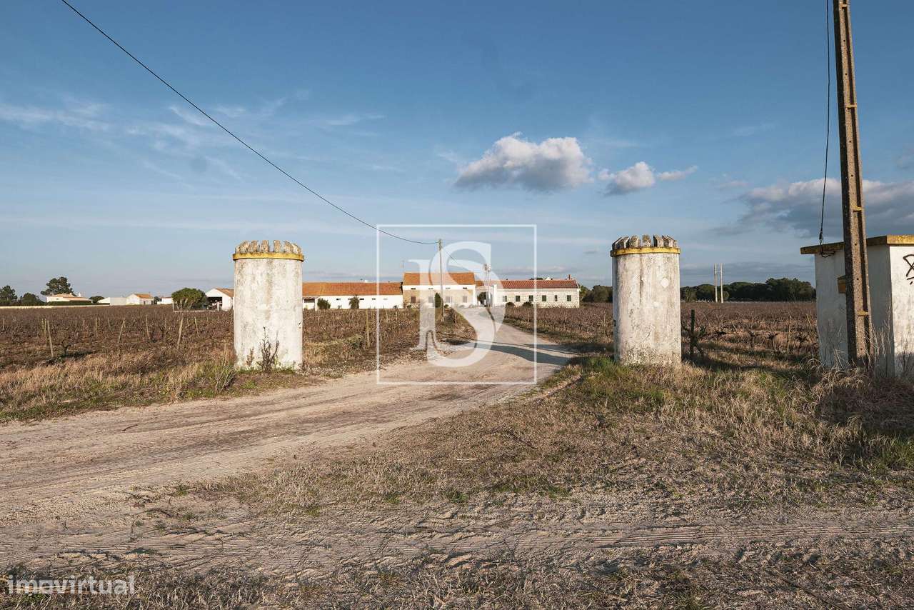 Herdade T3+2 Venda em Poceirão e Marateca,Palmela-23