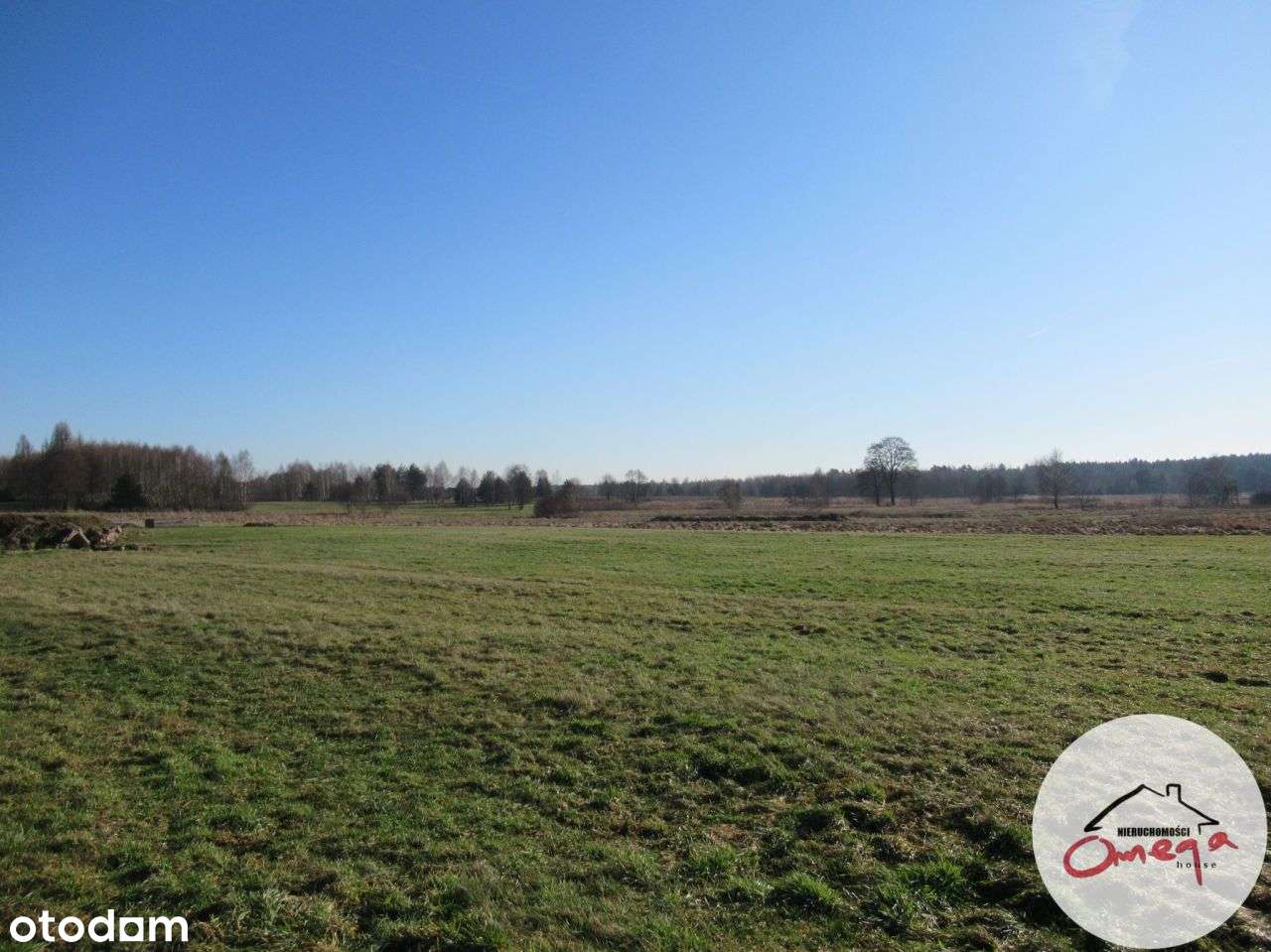 Działka, 8 966 m², Winowno - Pełny obrazek: 2/3