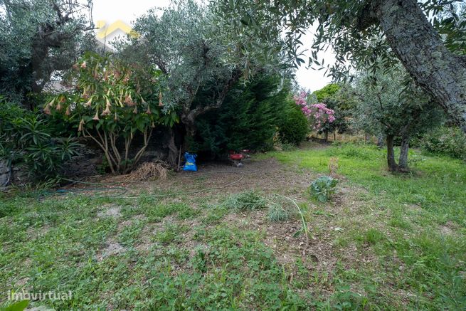 Moradia Isolada T3 Venda em Benquerenças,Castelo Branco-32