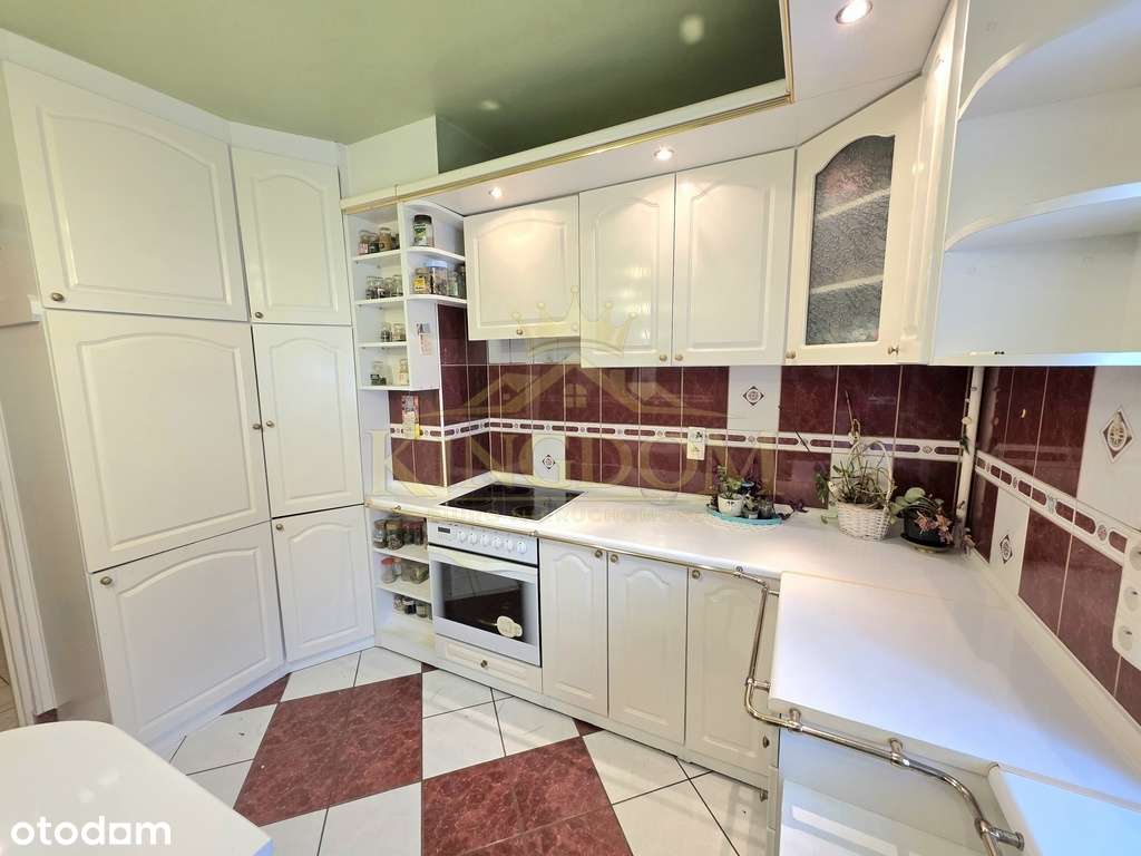 Mieszkanie rozkładowe 2 pokoje + ogródek-1