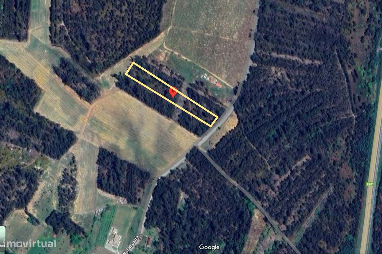 Terreno  Venda em Canas de Santa Maria,Tondela-5