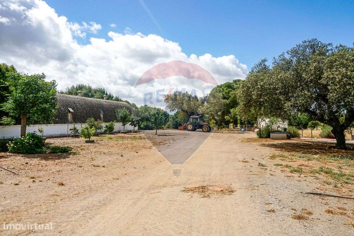 Herdade T2 para venda - Grande imagem: 3/19