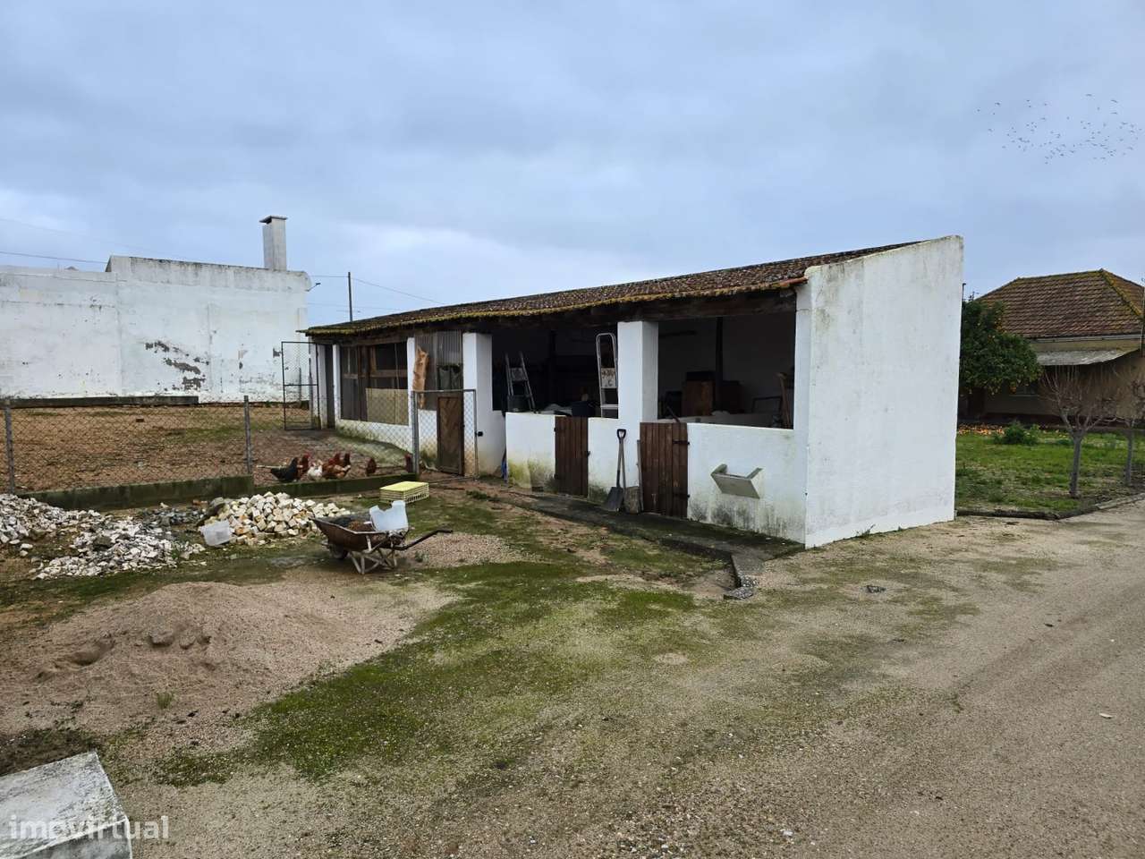 Quinta T3 Venda em Riachos,Torres Novas - Grande imagem: 4/14