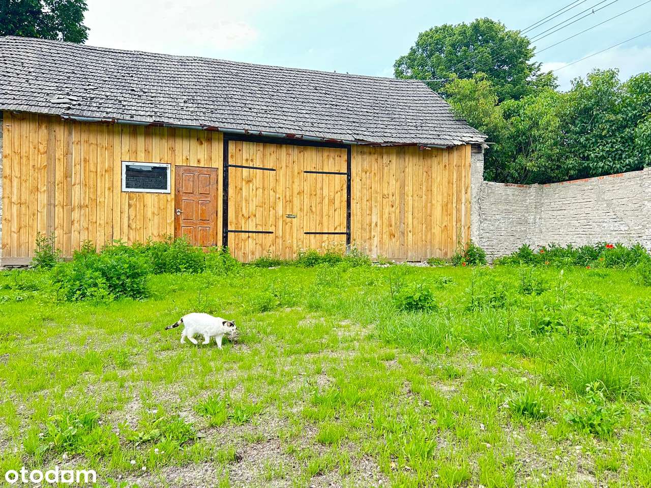 Działka nad jeziorem przy źródełku - Pełny obrazek: 5/20