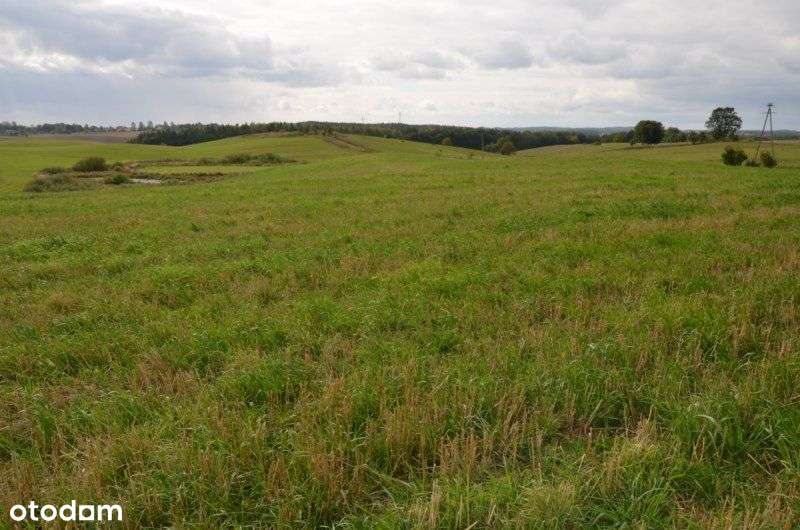 Działka rolna okolice Przywidz-4