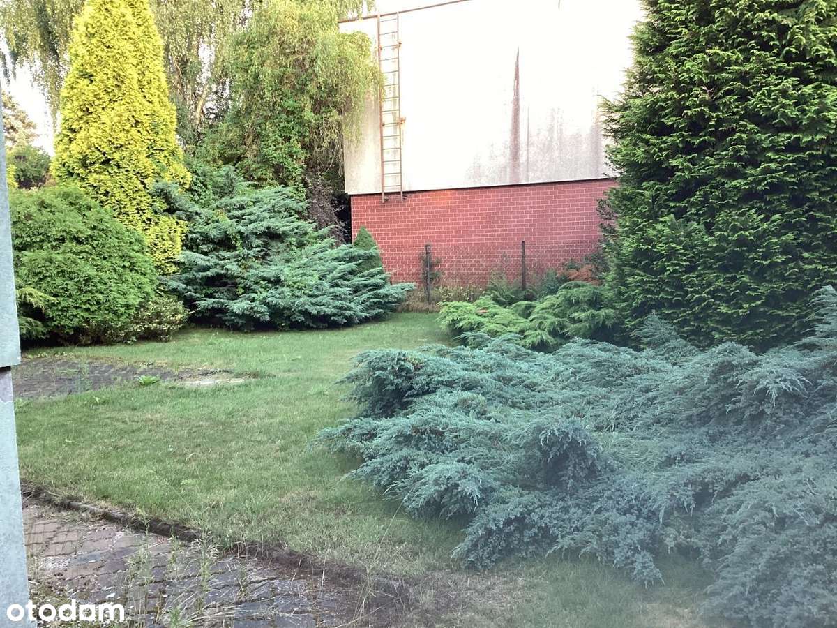 Dom na Ptasim Osiedlu sprzedam BEZPOŚREDNIO - Pełny obrazek: 3/6