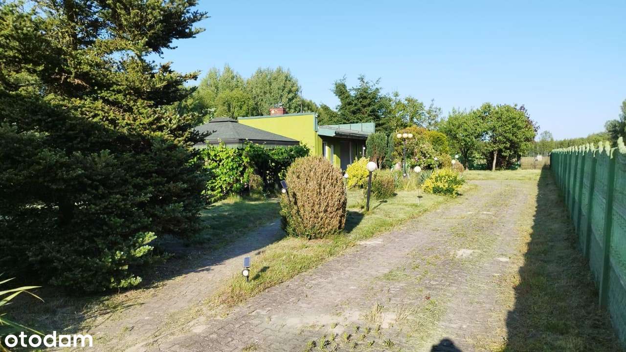 Bulianów, dom 72 m kw., cicha okolica - Pełny obrazek: 5/20