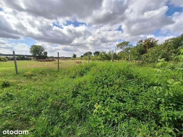 Działka, 4 240 m², Zglinna Duża - Pełny obrazek: 4/15